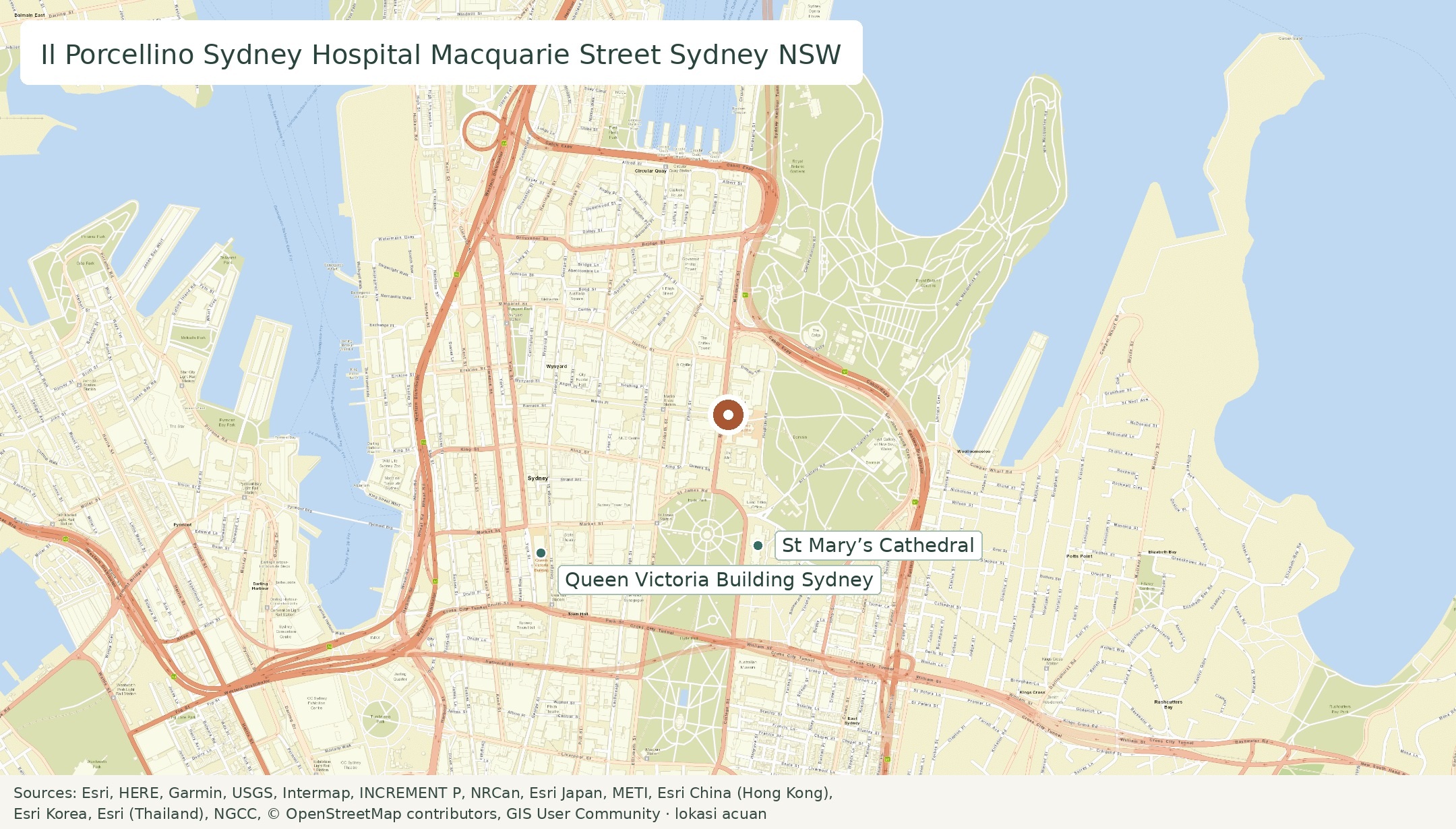 Peta Il Porcellino, Sydney Hospital