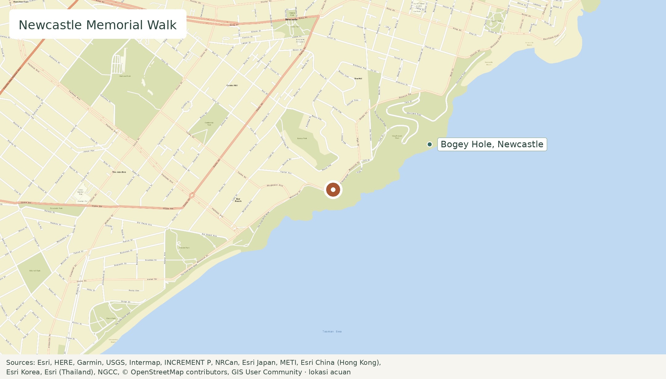 Peta Newcastle Memorial Walk
