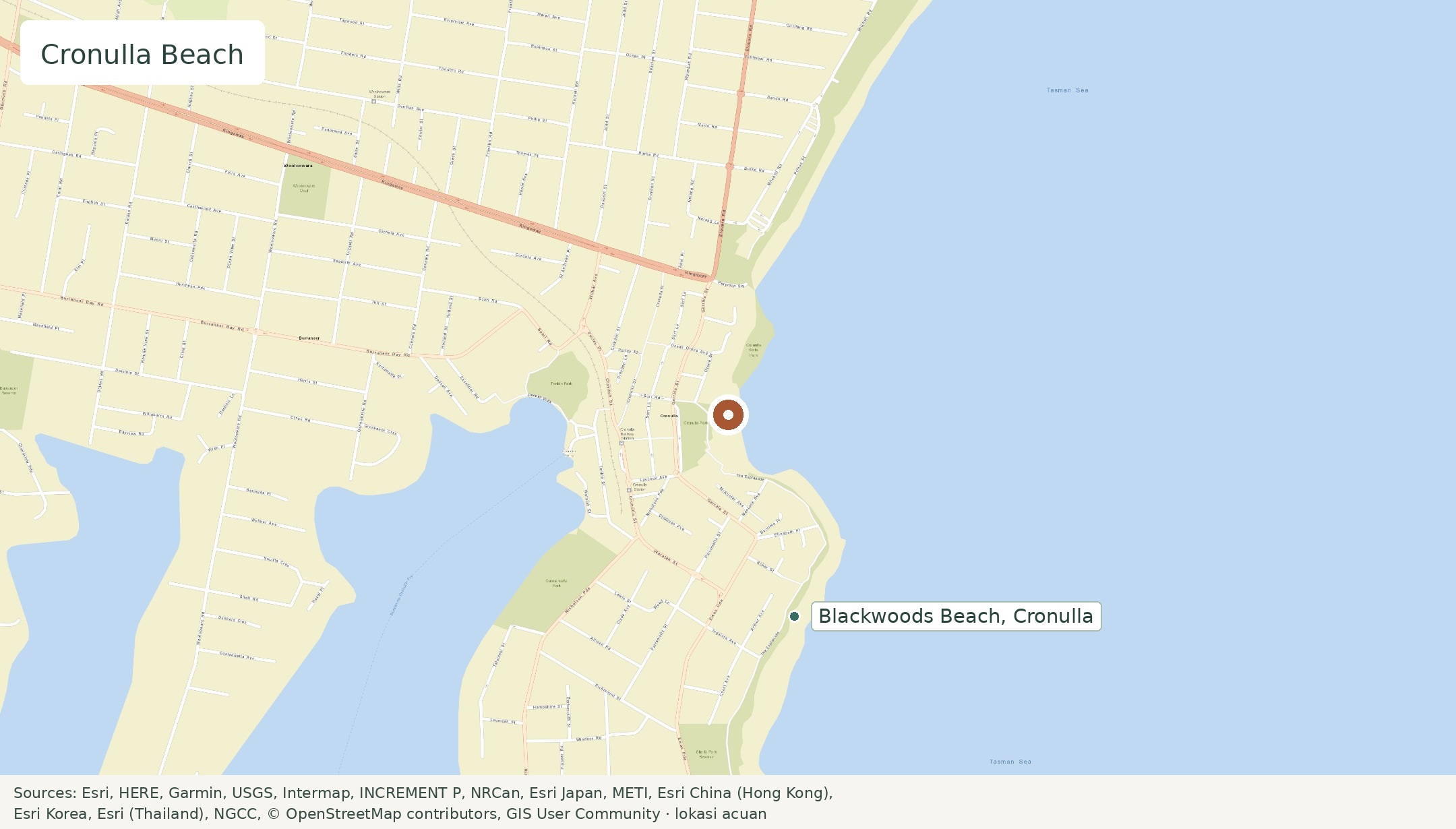 Peta Cronulla Beach