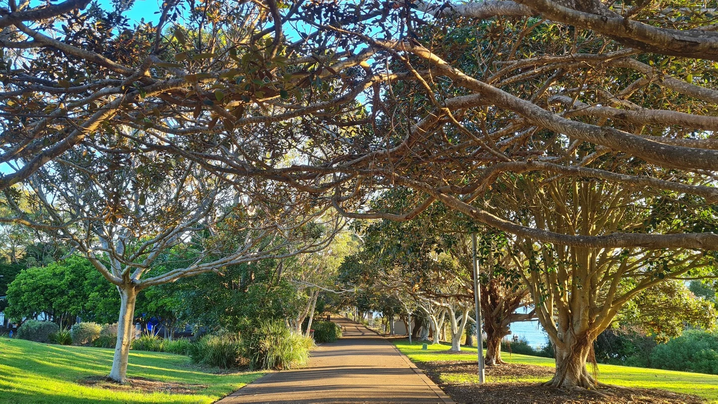 Little Manly Park