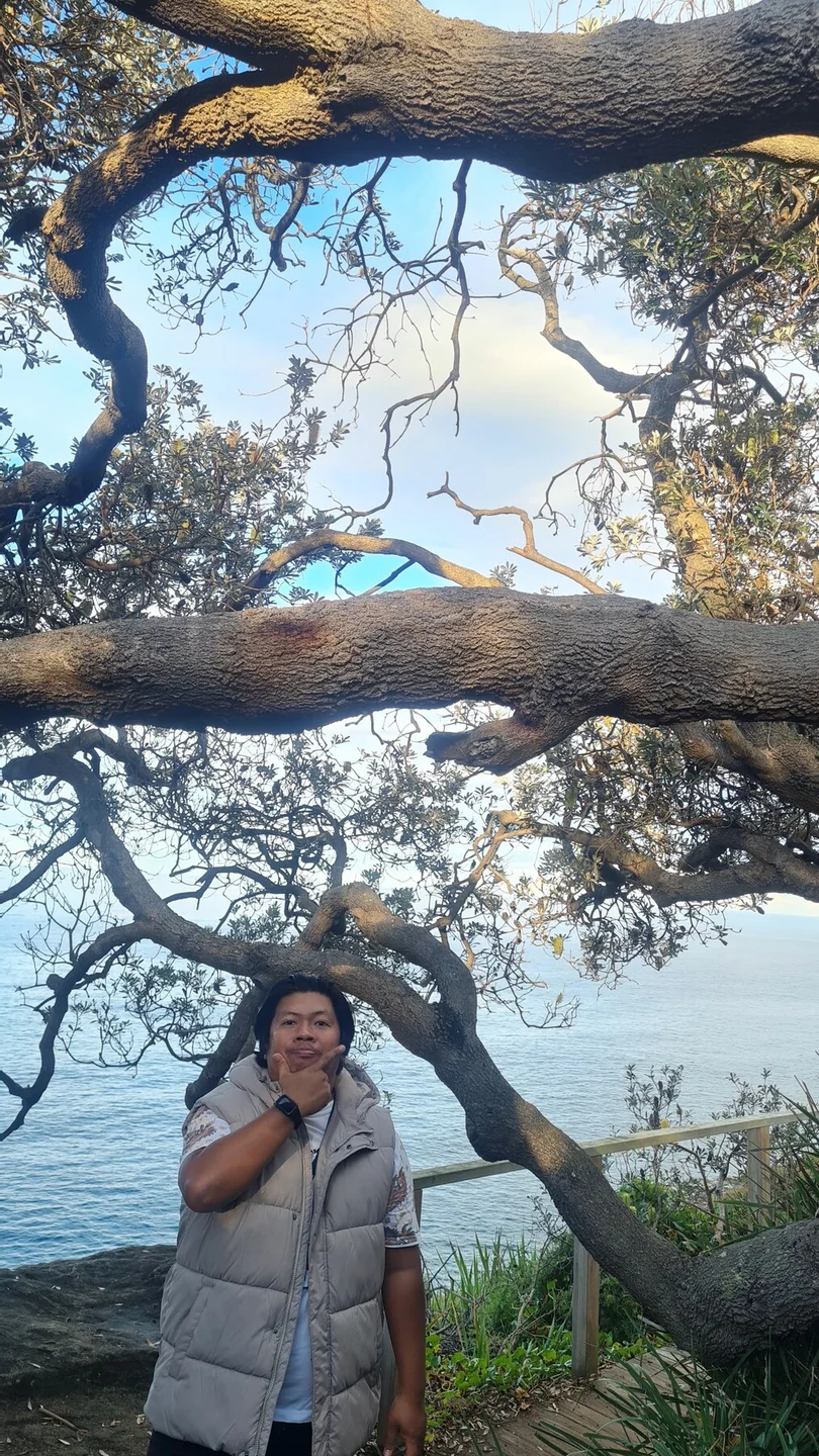 Waverley Cliff Walk · di bawah pepohonan