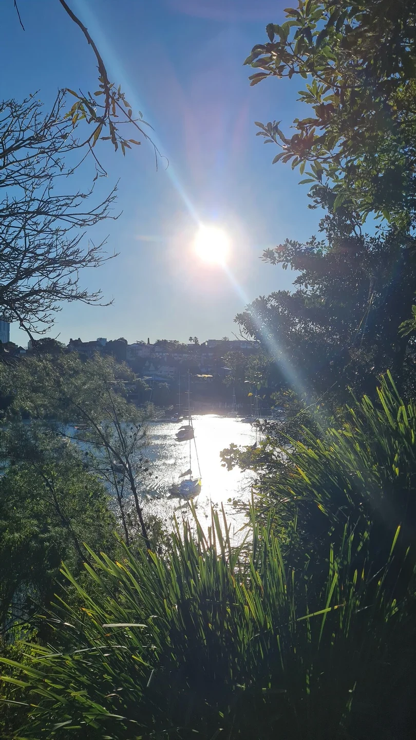Cremorne, di sela pepohonan