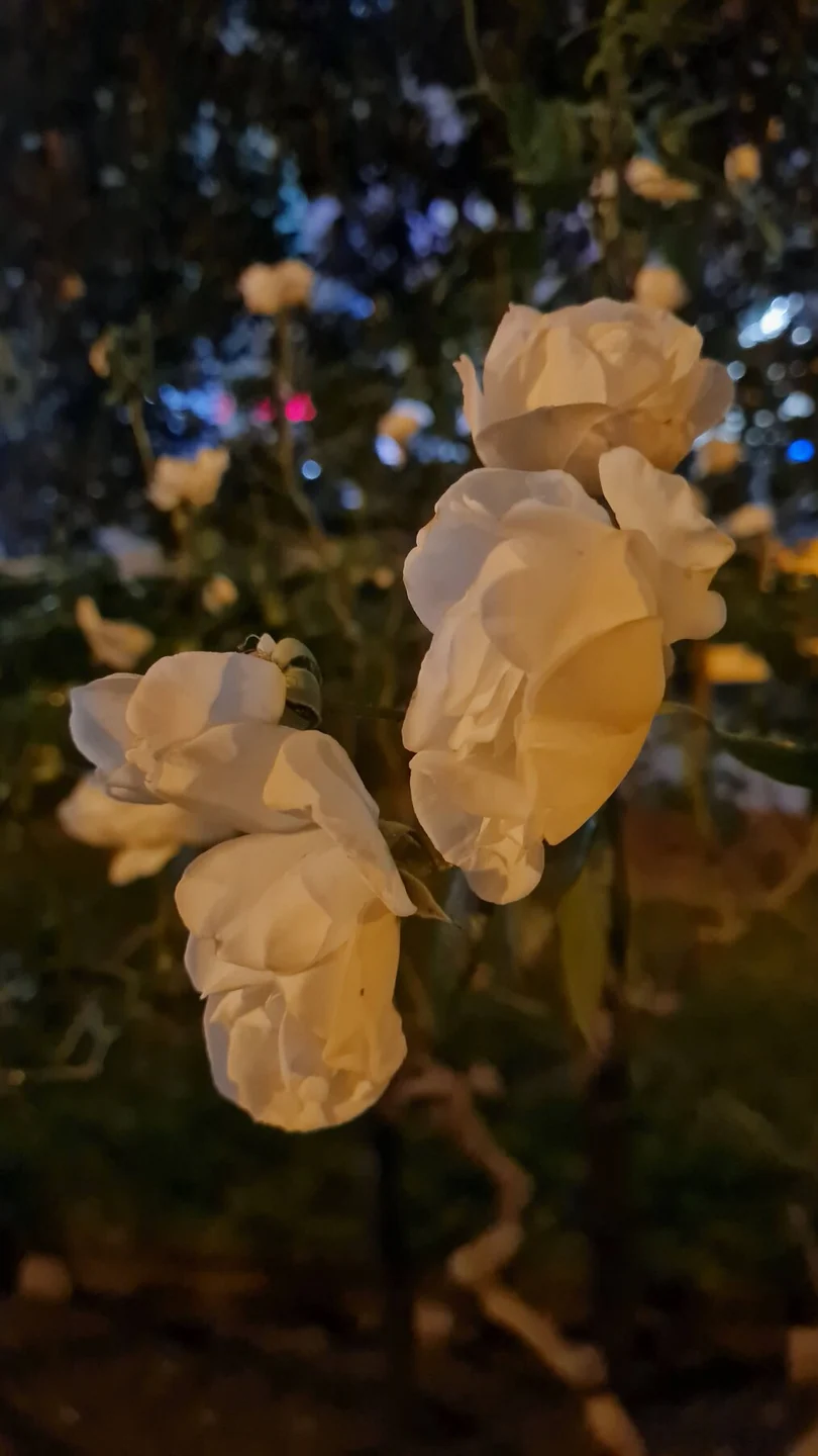 Garden of Remembrance · detail yang tertinggal