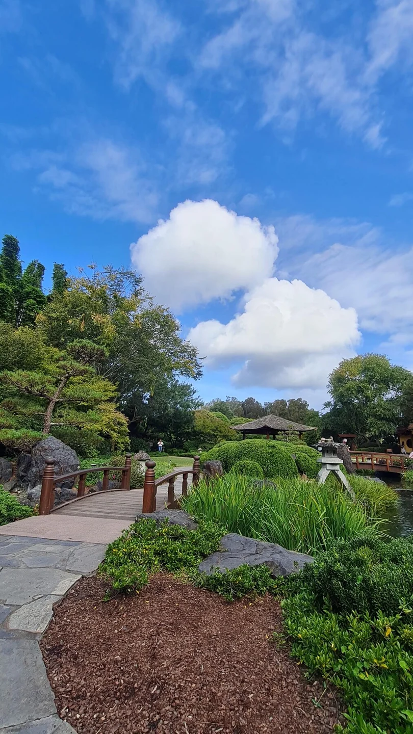 Gosford Regional Gallery · taman